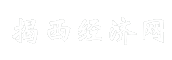 揭西经济网